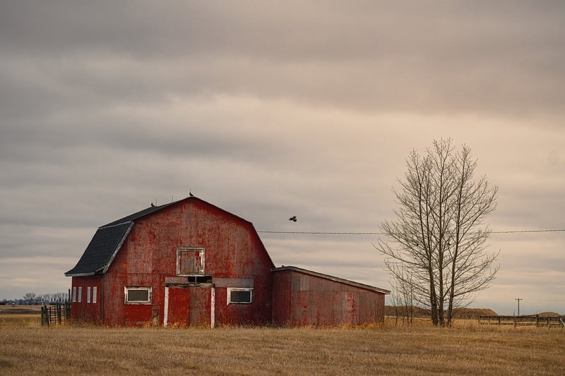 Rustic barns