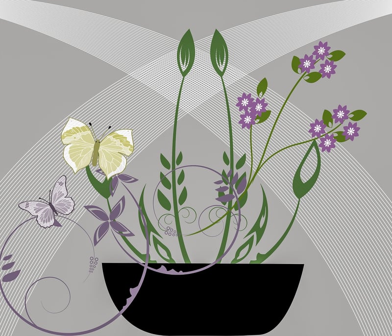 Succulent Plants